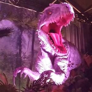 Meet your Posher, Cat